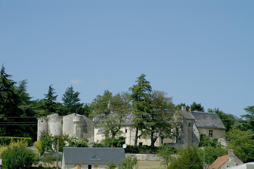Bed and Breakfast Chateau De La Roche Martel Roiffé Exterior foto